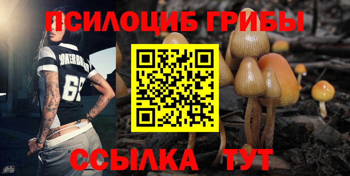 Галлюциногенные грибы мицелий Мариинск