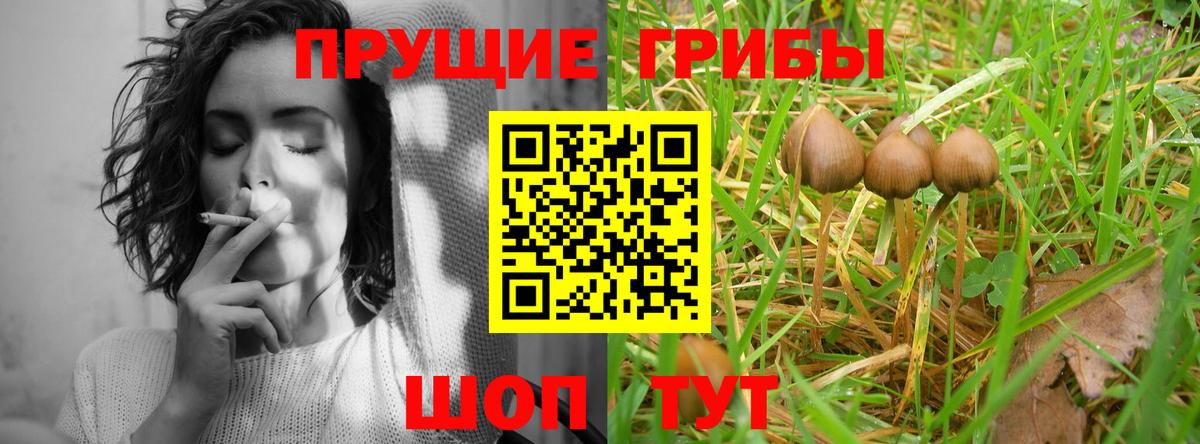 закладки  Вход с VPN  Псилоцибиновые грибы Cubensis  Мариинск  Галлюциногенные грибы мицелий 